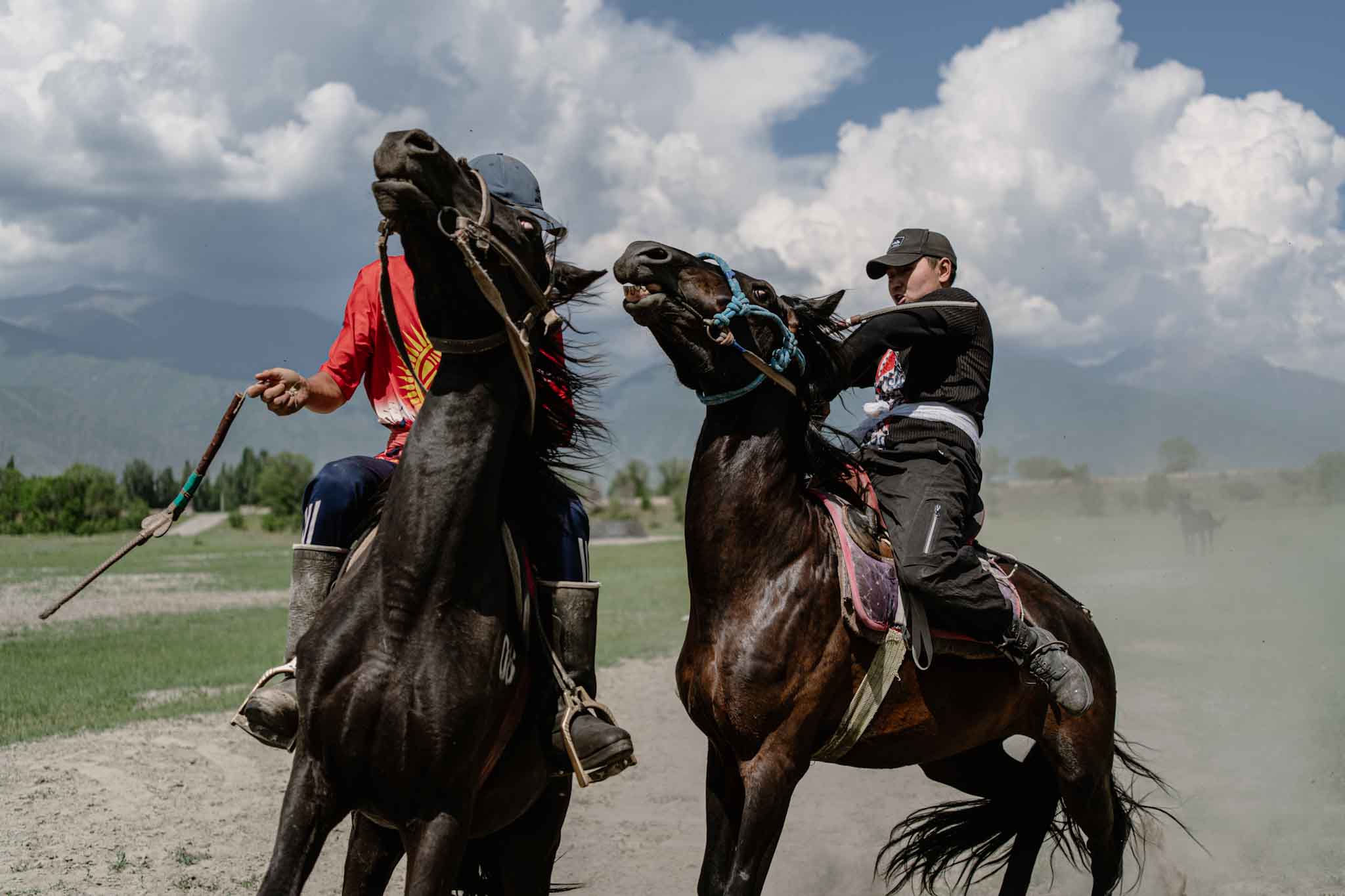 Horse Games